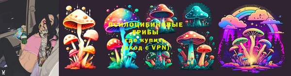 трава Алексин