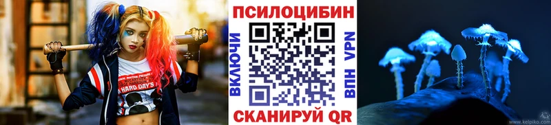 магазин продажи   Ардон  Галлюциногенные грибы Magic Shrooms 